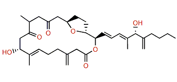 Amphidinolide U